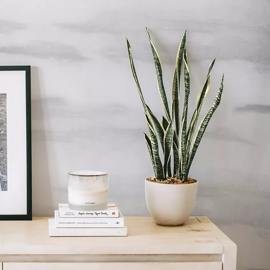 Le Beton Loft